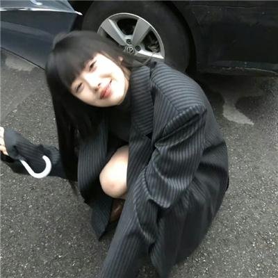 蠢狗记